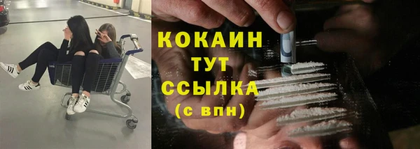 эйфоретик Верея