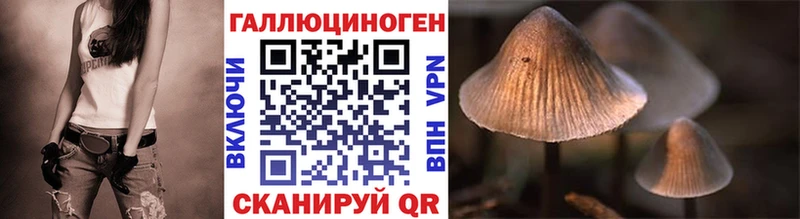 ссылка на мегу зеркало  Выборг  Псилоцибиновые грибы Magic Shrooms 