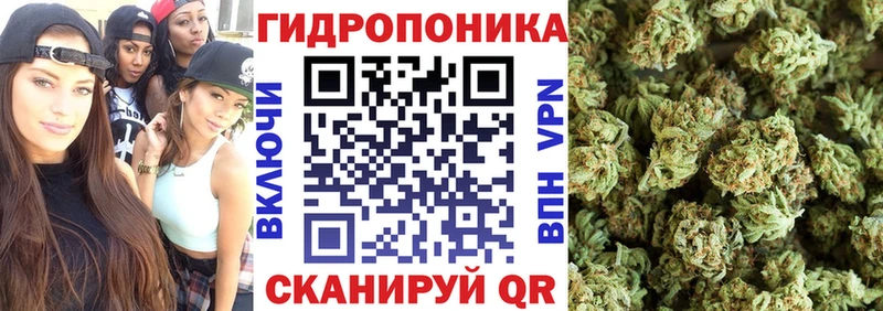 продажа наркотиков  Выборг  Конопля VHQ 